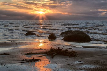 Three elements / ***