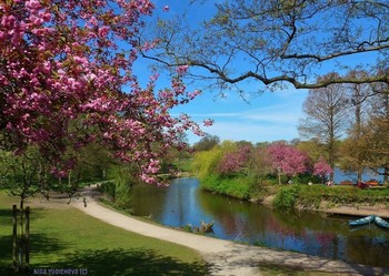 Spring in city park / ***