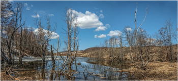 Spring / ***