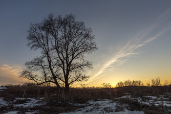 At the end of the day / ***