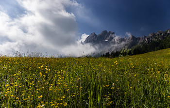 Summer in the mountains / ***