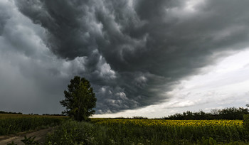 Before the storm / ***