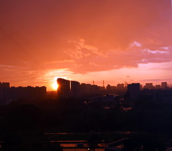 till the cows come home / ***