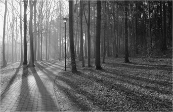 Spring in the park / ***