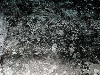 Underfoot / 2019-02-18-16-C0-036(80)+C