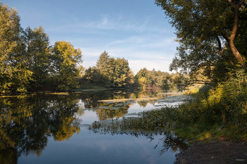 Morning on the river / ....