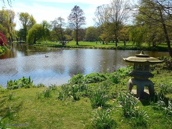 Alster Hamburg / ***