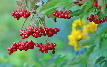 Farewell to summer / ***