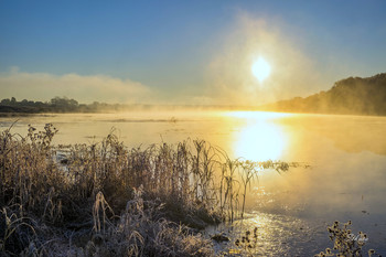 Morning fog. / ***