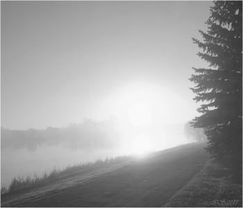 dawn / ***