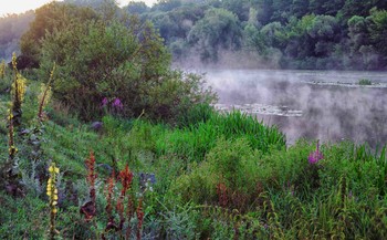 On the river bank / ***