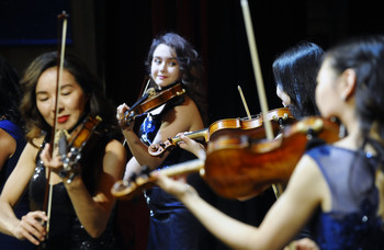 Allegro ma non troppo... / ***