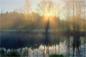 Morning / ***