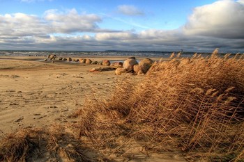 The Baltic Coast / ***