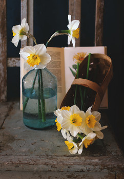 &nbsp; / ...........