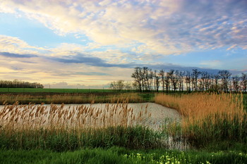 By the pond ... / ***