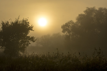 Autumn Sunrise / ***