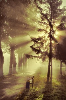 Morning / ***
