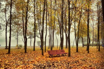 Autumn sunrise / ***