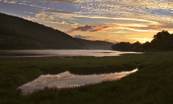 reflection of the spring / ---