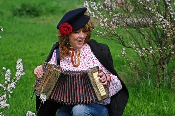 Accordionist / ***