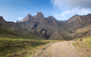 Mountain roads / ***