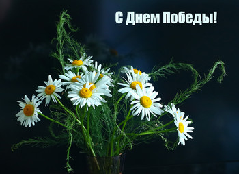 Happy Victory Day! / ***