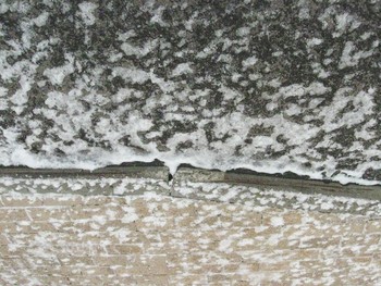 &nbsp; / [img]https://live.staticflickr.com/65535/47764629582_06397fd1b3_o.jpg[/img]

[img]https://live.staticflickr.com/65535/47764631662_35ac3106c8_o.jpg[/img]