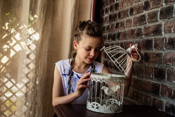 Where's the bird? / ***