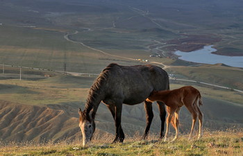 Maternity / ...