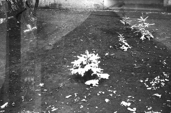 The road to the temple / ----_---