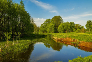 Landscape / ***