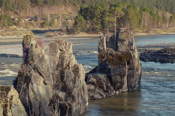 Dragon's teeth / ***