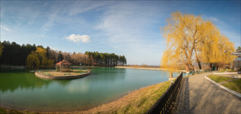 in the park / ***
