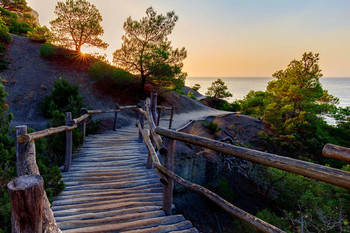 At dawn / ***