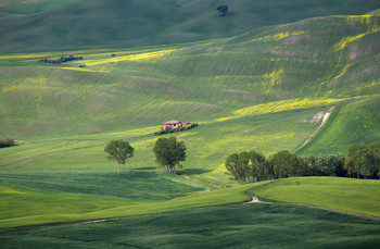 Among the hills / ***