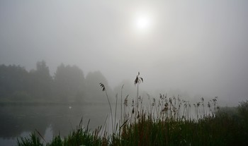 May mists / ***