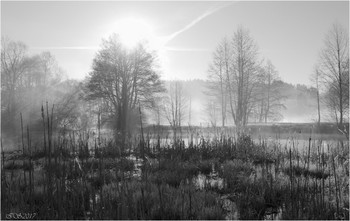 The spring sun / ***