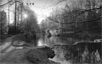 Morning in the park / ***