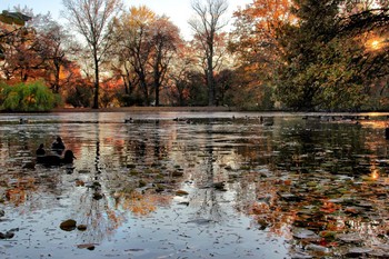 Autumn / ***