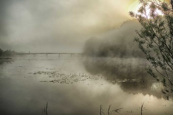 Foggy morning ... / ***