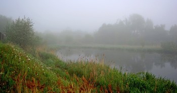 in the morning mist / ***