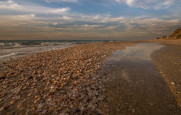 by the sea / ***