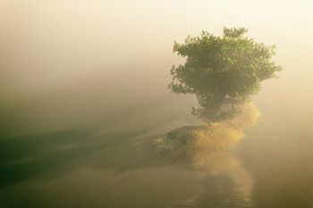 Alone ... / ***