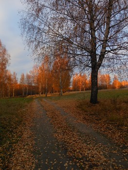 Autumn evening / ***
