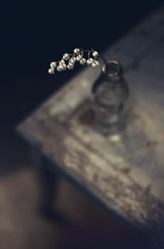 Landysheva May ... / .......................