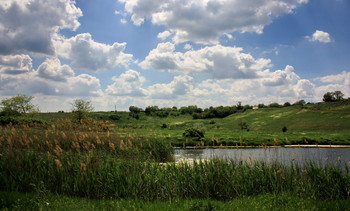 On the shore... / ***