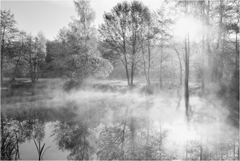 Morning on the river / ***