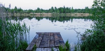 Evening on the lake / ***