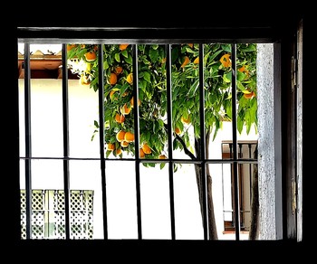 Window / ...